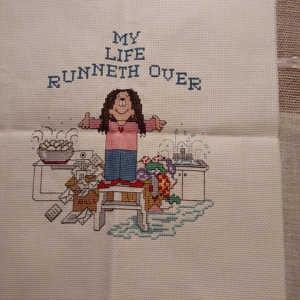 Cross-Stitch Art with Humorous Quote